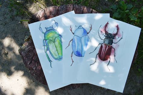 Insekten Zeichnung K Fer Malerei K Fer Illustration Insekt Etsy