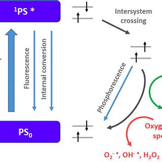 Mechanism Of Charge Trapping And Detrapping After A Visible Excitation