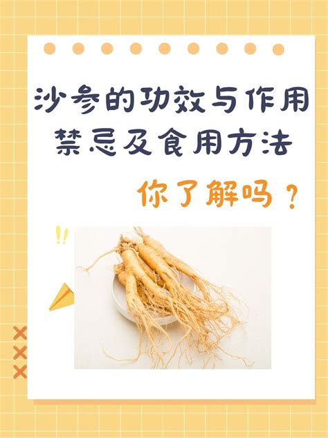 沙参的功效与作用禁忌及食用方法你了解吗？妙手医生