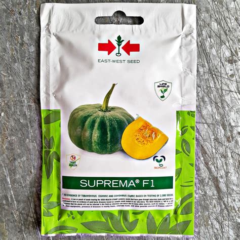 Suprema F Hybrid Squash Kalabasa Seeds Asenso Pack By East