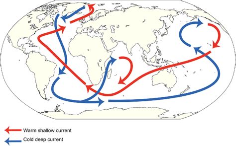 Simplified Schematic Of Thermohaline Circulation Around The Earth Red Download Scientific