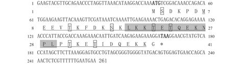 合浦珠母贝胸腺素β4 Thymosin Beta4插核损伤和发育时期的表达研究