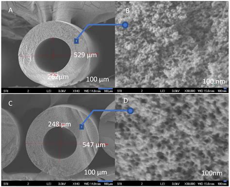 Membranes Free Full Text Preparation Of Polybenzimidazole Hollow