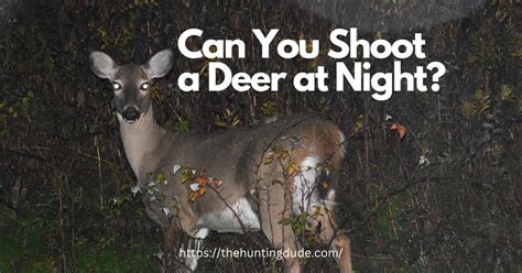 Can You Shoot a Deer at Night? Is Night Deer Hunting Illegal | US ...