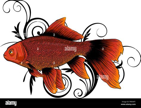 Red Drum Redfish Vector Illustration With Refined Details Stock