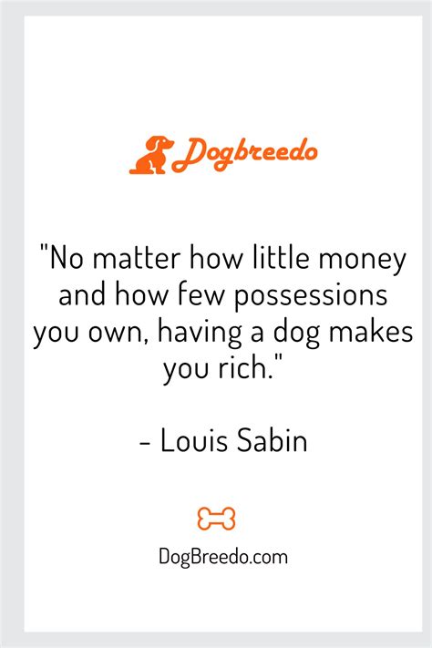 30 of the Best Dog Quotes that are Pawsitively Inspiring - Dogbreedo