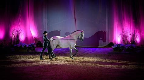 Week End Gala Du Cadre Noir De Saumur Le Printemps Des Cuyers