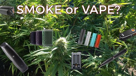 Smoke or Vape? The Benefits of Vaporizing Weed Over Smoking It ...