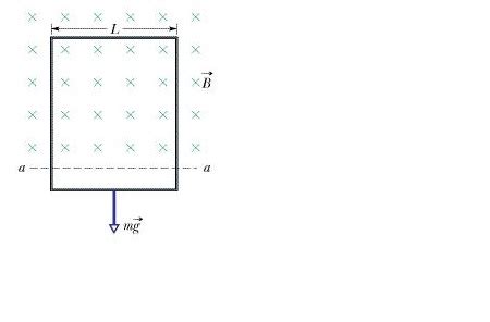 In The Figure A Long Rectangular Conducting Loop Of Width L Cm