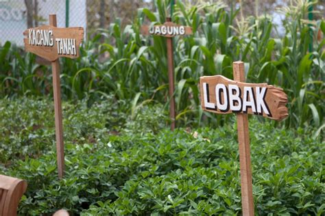 Lanskap Agrowisata Eco Green Park Batu