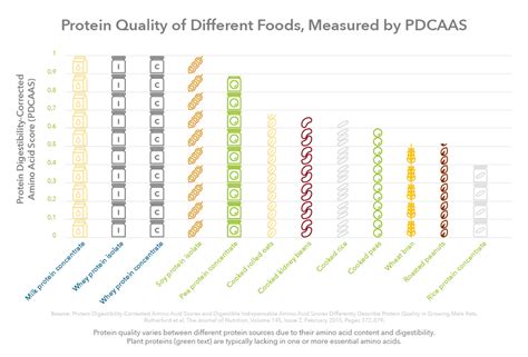 Nutrition Benefits Of Plant Protein Kerry Health And Nutrition Institute