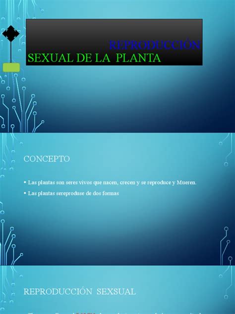 Reproducción Sexual De La Planta Pdf