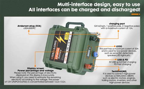 Amazon Guaiglong V Ah Lifepo Battery Built In A Bms