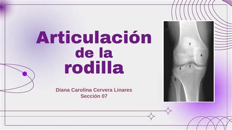 Articulaci N De La Rodilla Diana Udocz