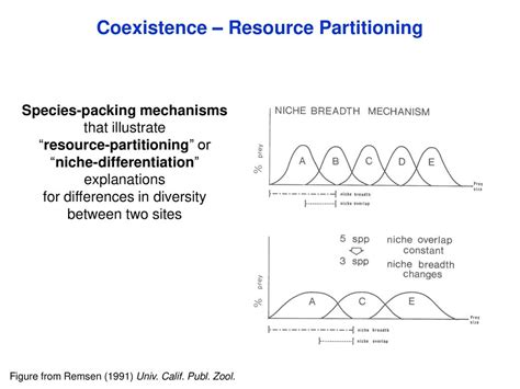 Species Diversity In Communities Ppt Download