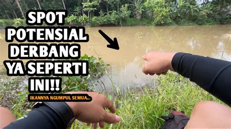 NEMU SPOT POTENSIAL BANGET Mancing Ikan Wader Pakai Teknik Pecut Dan