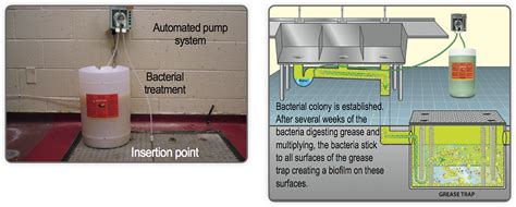 Homemade Grease Trap Homemade Ftempo