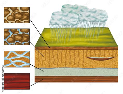 Groundwater Groundwater Follows Water Cycle In Nature Geological