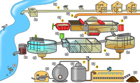 animation die funktionsweise einer abwasserreinigungsanlage ara