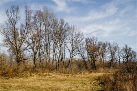 Wetland Sunlit by the Autumn Sun. Stock Image - Image of gloomy, hike: 257728975