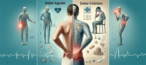 Diferencias entre el Dolor Agudo y el Dolor Crónico Findolor