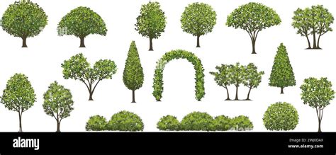 Trees And Shrubs Vector Illustration Set Isolated On A White Background