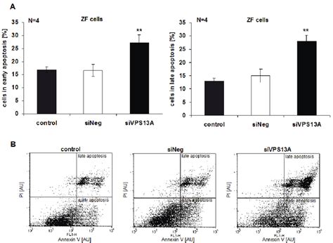 Chorein Sensitivity Of Apoptosis In Zf Rhabdomyosarcoma Cells A Zf