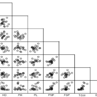 Association Between Grain Yield And Its Components Characters In