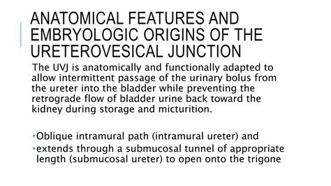 Vesicoureteral Reflux Ppt