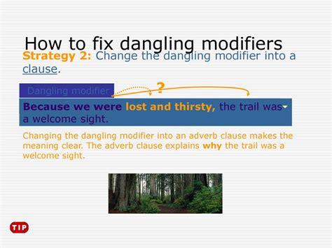 Correcting Dangling Modifiers Ppt Download