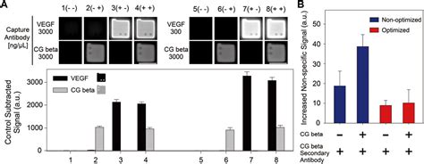 Frontiers Optimizing Reduced Capture Antibody Conjugation To Encoded Hydrogel Microparticles