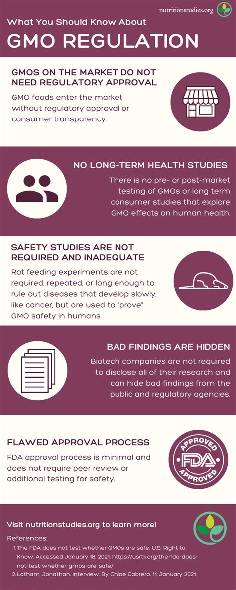 Are Gmos Safe Asking The Right Questions About Gmos Center For