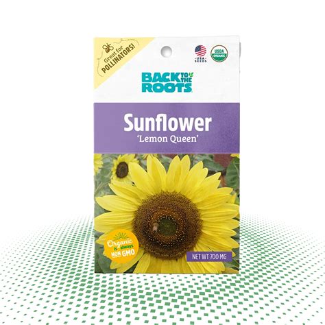 Sunflower Seed Boxes Ez Packaging