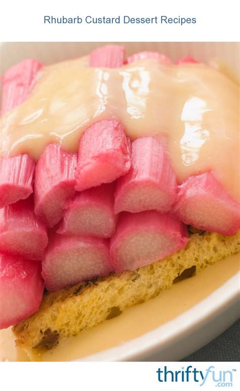 Rhubarb Custard Dessert Recipes | ThriftyFun