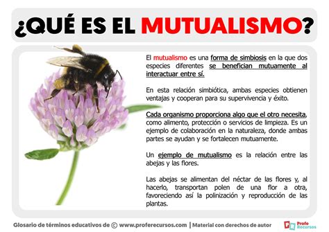 Diagrama De Venn Y Bancos Y Mutualista Intersecci N De Conj