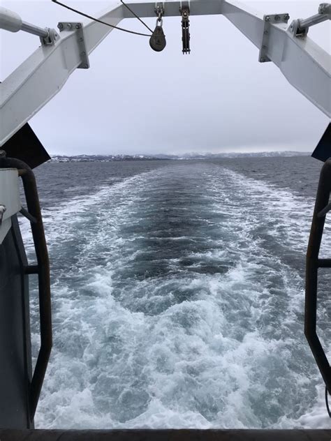 turbulent wake stay visible    long time