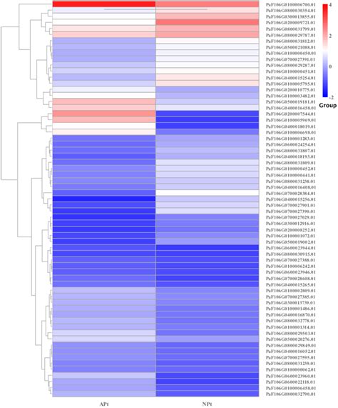 The Relative Expression Pattern Of B Transcription Factor Among Degs