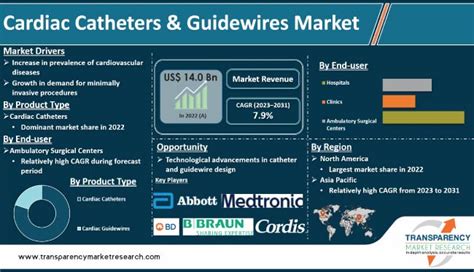 Cardiac Catheters & Guidewires Market Size, Share & Forecast - 2031