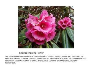 Sikkim flora | PPT