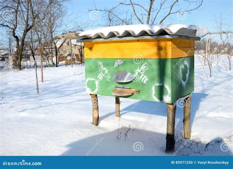 Honey Bee Hives In Winter Covered In Snow Beekeeping Stock Photo