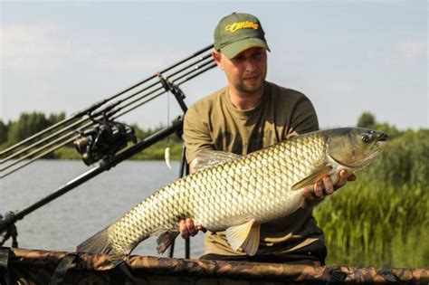 Тонущий бойл VS Плавающая насадка