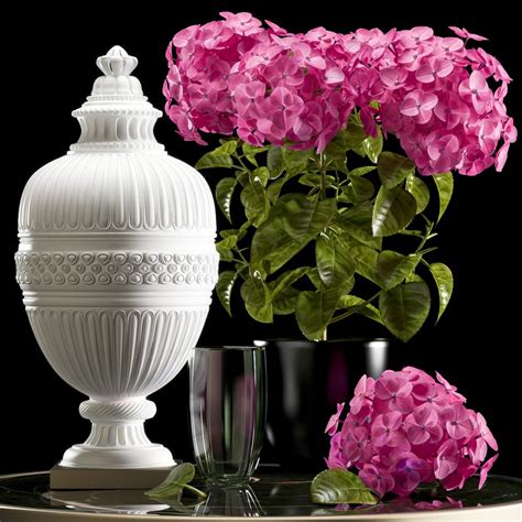 Flower Set 2 - 3D Model for VRay