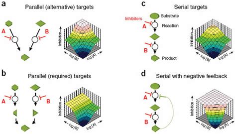 The Response Shape In Dose Matrix Experiments Depends On Target