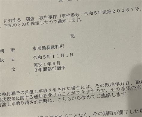 懲役1年6ヶ月、執行猶予3年 堀切めだか