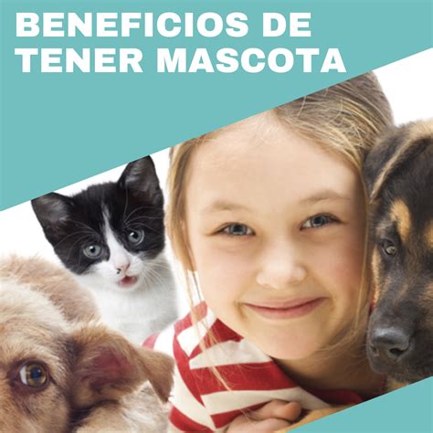 Beneficios De Tener Mascota