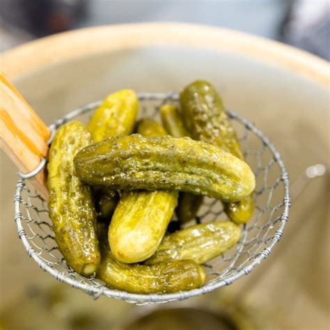 How To Can Spicy Dill Pickles Wyse Guide