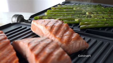 Cuisinart Griddler Salmon Recipe Dandk Organizer