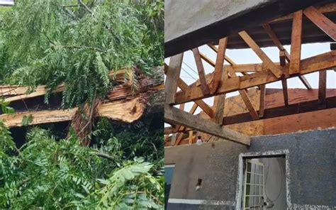 Forte Chuva Causa Destelhamentos Queda De Rvores E Falta De Luz No