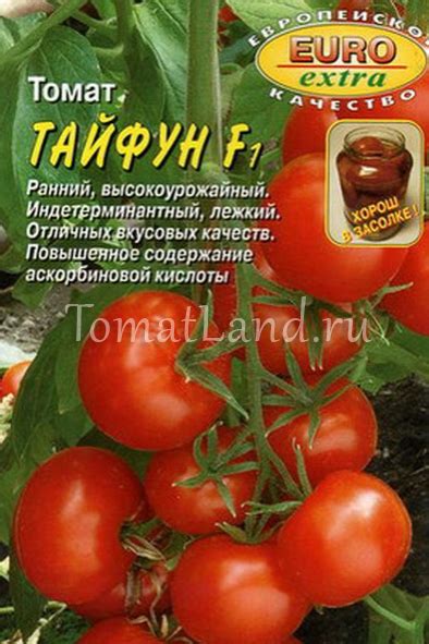 Томат Тайфун: ОТЗЫВЫ, фото, описание и характеристика | tomatland.ru
