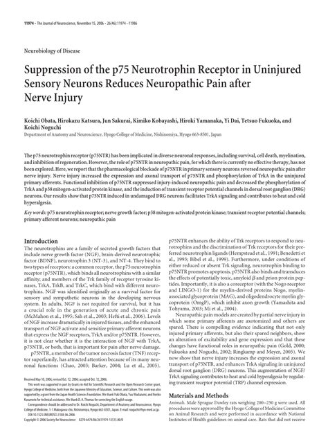 PDF Suppression Of The P75 Neurotrophin Receptor In Uninjured Sensory